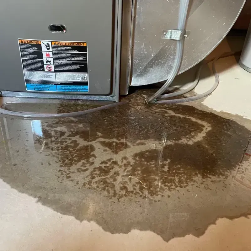 Appliance Leak Cleanup in La Union, NM